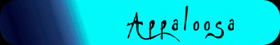 Appaloosa