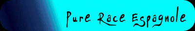 Pure Race Espagnole
